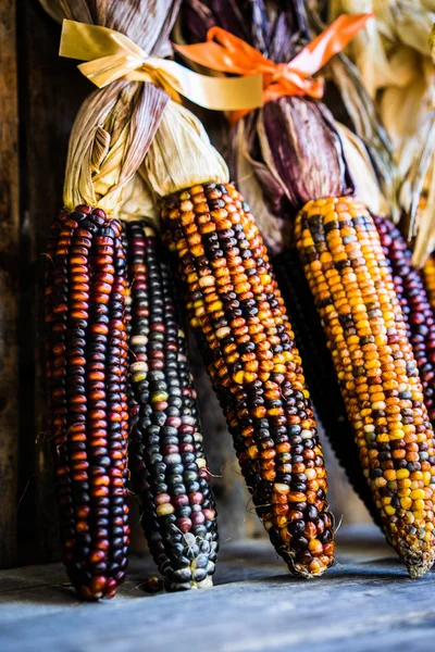 Milho indiano multicolorido em fundo de madeira rústica — Fotografia de Stock