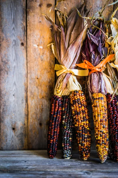 Mehrfarbiger indischer Mais auf rustikalem Holzgrund — Stockfoto