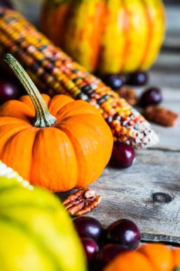 Kabaklar, Mısır, elma, fındık ve kızılcık ahşap arka plan üzerinde