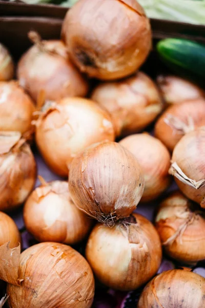Onions at the market — Stock Photo, Image