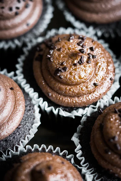 Choklad cupcakes på rustika trä bakgrund — Stockfoto