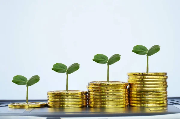 Coins Gold Money Growing Plant Finance — 스톡 사진