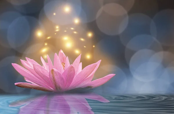 Sarı ışık nilüfer mavisi arkaplan.