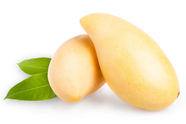 Yellow mango isolated on white background — Stock Photo, Image