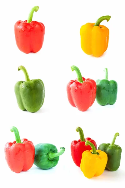 Paprika gyűjtemény fehér háttér — Stock Fotó