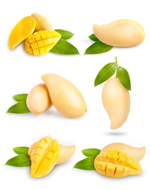 Beyaz arka plan üzerinde izole sarı mango koleksiyonu.