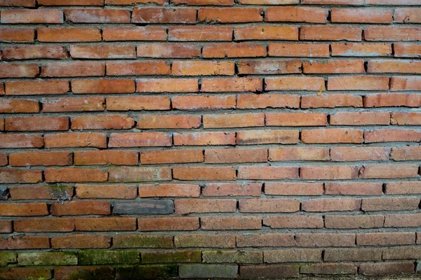 Old brickwall texture — Stock Photo, Image