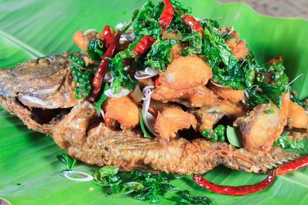 Estilo de comida tailandesa: Pescado de río frito con Thai Hearb —  Fotos de Stock