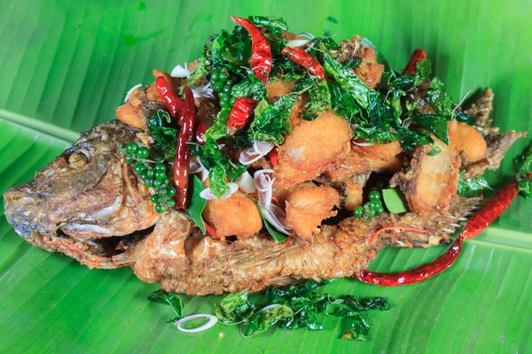 Estilo de comida tailandesa: Pescado de río frito con Thai Hearb —  Fotos de Stock