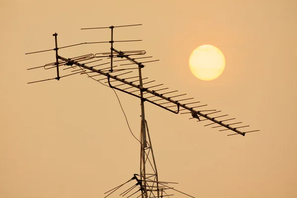 Anteny telewizyjnej z ptakiem na zachód słońca — Zdjęcie stockowe
