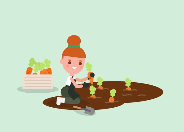 Femmina Giardiniere Cartone Animato Raccolta Carota Giovani Lavoratori Agricoli Illustrazione — Vettoriale Stock