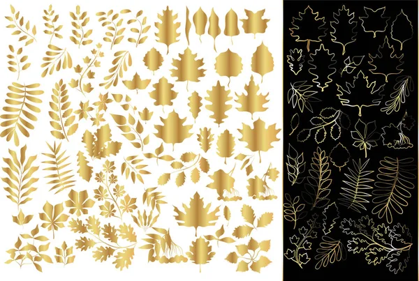 Goldpflanzen Herbstliches Laub Sammlung Von Blättern Zweigen Und Pflanzen — Stockvektor