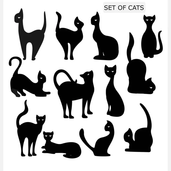 Zestaw Wektorowych Kotów Czarne Koty — Wektor stockowy