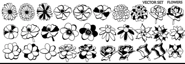 Ein Blumenset Schwarz Weißen Farben Vektorrose Kamille Wildblumen Auf Weißem — Stockvektor