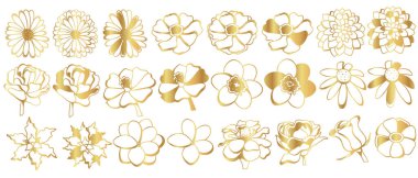   Beyaz arka planda bir dizi altın çiçek. Vektör altın gül, papatyalar ve diğer çiçekler.