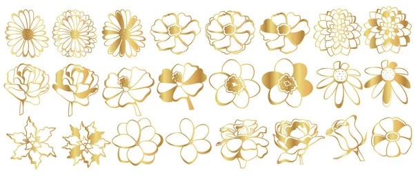 Ein Set Goldener Blumen Auf Weißem Hintergrund Vektor Goldrose Gänseblümchen — Stockvektor