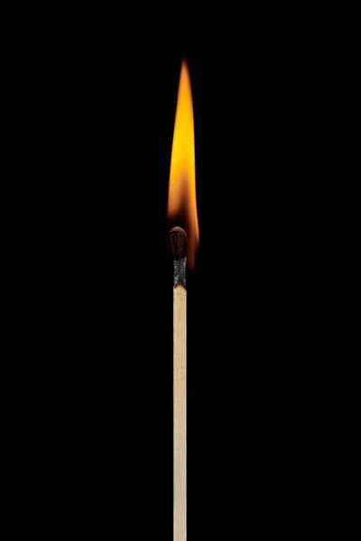 A single burning match with the flame rising up, isolated on a black background. Free space for text, layout for design.