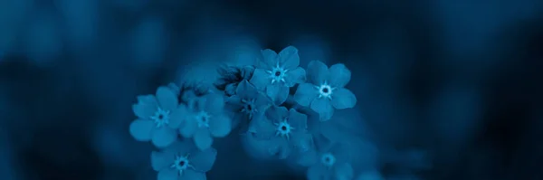 Blue flowers banner