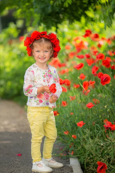 Güzel küçük bir kızın portresi Baharda kırmızı gelincik çiçekleri arasında eğleniyor.