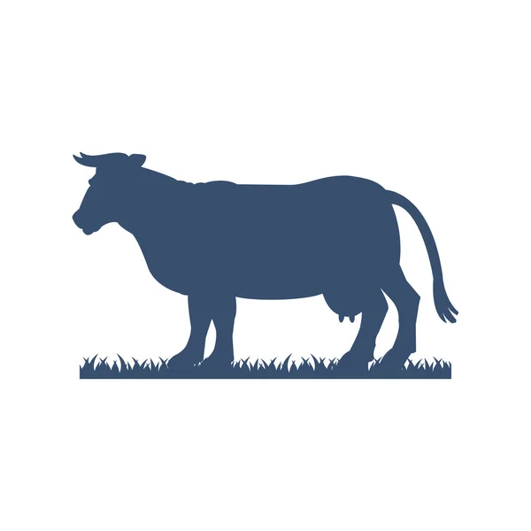 Silueta krávy izolované na bílém pozadí. — Stockový vektor
