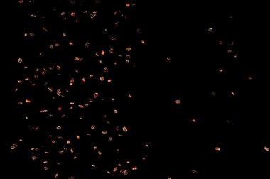 Kavrulmuş kahve çekirdekleri düşüyor..