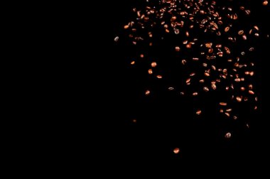 Kavrulmuş kahve çekirdekleri düşüyor..