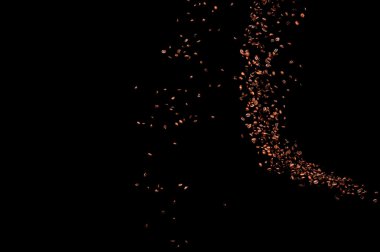 Kavrulmuş kahve çekirdekleri düşüyor..