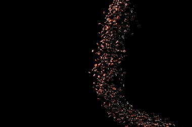 Siyah arka planda izole kahve çekirdekleri uçuşuyor. Kavrulmuş kahve taneleri patladı..