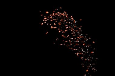 Siyah arka planda izole kahve çekirdekleri uçuşuyor. Kavrulmuş kahve taneleri patladı..