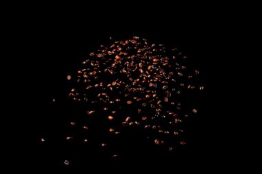 Kavrulmuş kahve çekirdekleri düşüyor..