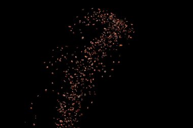 Siyah arka planda izole kahve çekirdekleri uçuşuyor. Kavrulmuş kahve taneleri patladı..