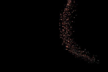 Siyah arka planda izole kahve çekirdekleri uçuşuyor. Kavrulmuş kahve taneleri patladı..