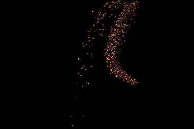 Siyah arka planda izole kahve çekirdekleri uçuşuyor. Kavrulmuş kahve taneleri patladı..