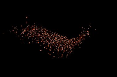 Kavrulmuş kahve çekirdekleri düşüyor..