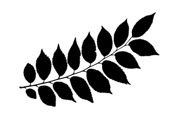 Black Leaves Silhouette Isolated White Background Realistic Foliage Stencil Plant — ストックベクタ