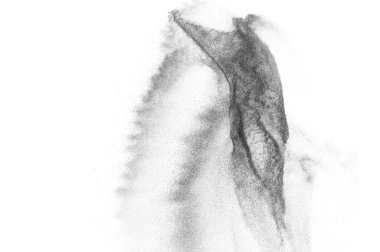 Siyah parçacıklar beyaz zemin üzerinde izole edildi. Soyut toz tabakası dokusu.