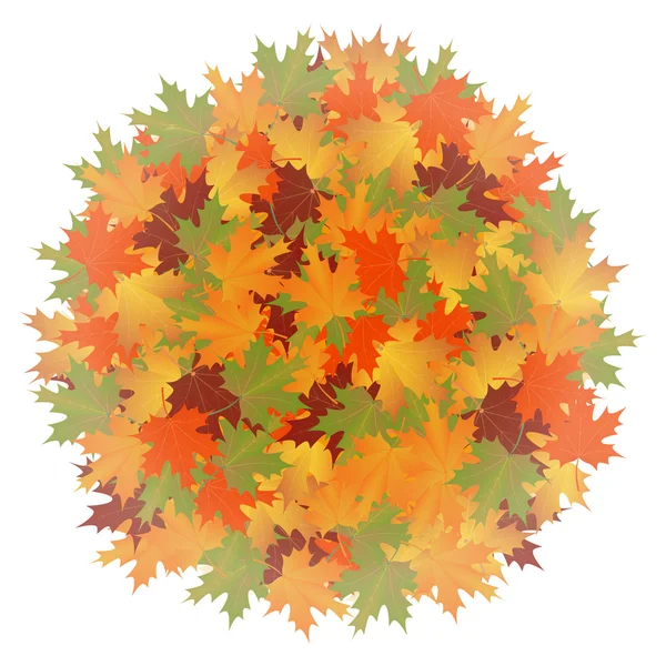 Fondo de otoño de hojas de arce redondo . — Archivo Imágenes Vectoriales