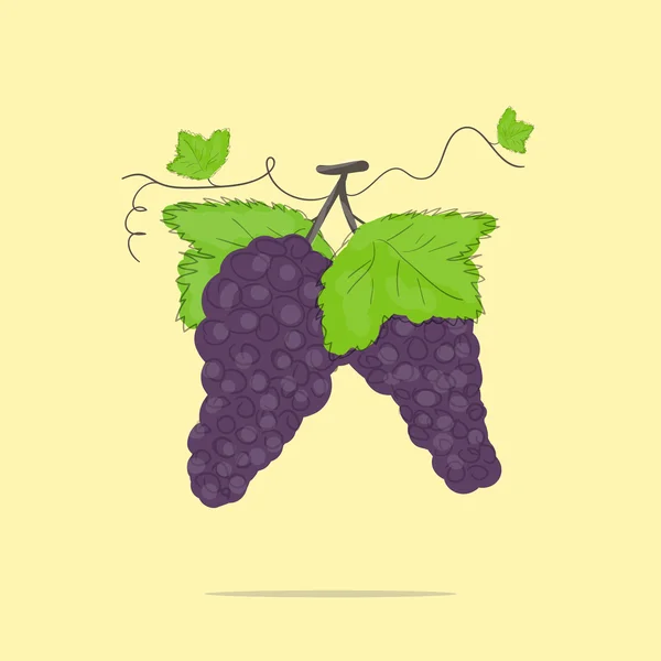 Пучки винограду — стоковий вектор