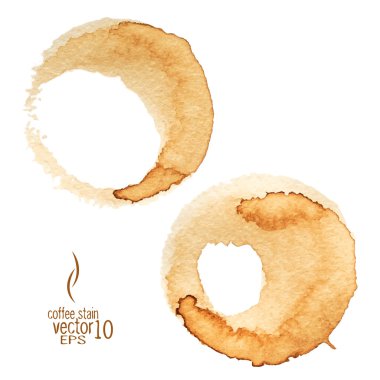 Kahve Lekesi suluboya vektör