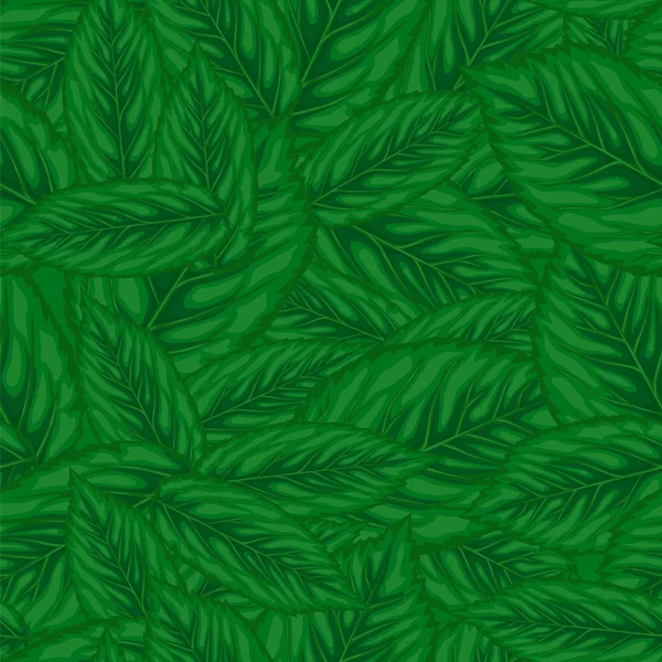 Seamless background of green leaves — Stock Vector