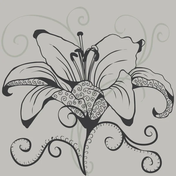 Siluett av grå Lilja. silhuett av blomman — Stock vektor