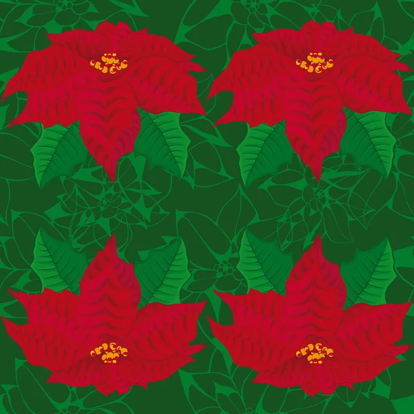 Seamless green background.red flowers of poinsettia . seamless pattern. — Stock Vector
