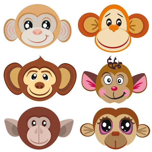 Drôle différemment singe. Visage de singes . — Image vectorielle