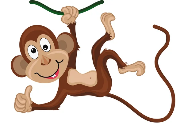 Μαϊμού κρέμονται σε έναν κλάδο. Μπράβο. — Διανυσματικό Αρχείο