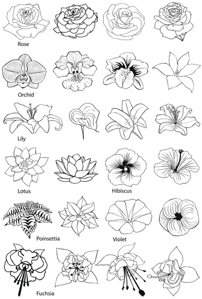 花のコレクション。白の背景に黒のシルエット. — ストックベクタ