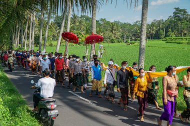 Gianyar, Bali-Mayıs 11 2021: Balili Hindu cemaati Ubud köyünün pirinç tarlası yakınlarındaki yolda temizleme töreni düzenliyor. COVID-19 'dan kaçınmak için adak getirip tıbbi maske takıyorlar.