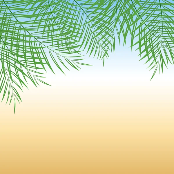 Hojas de palmera — Vector de stock