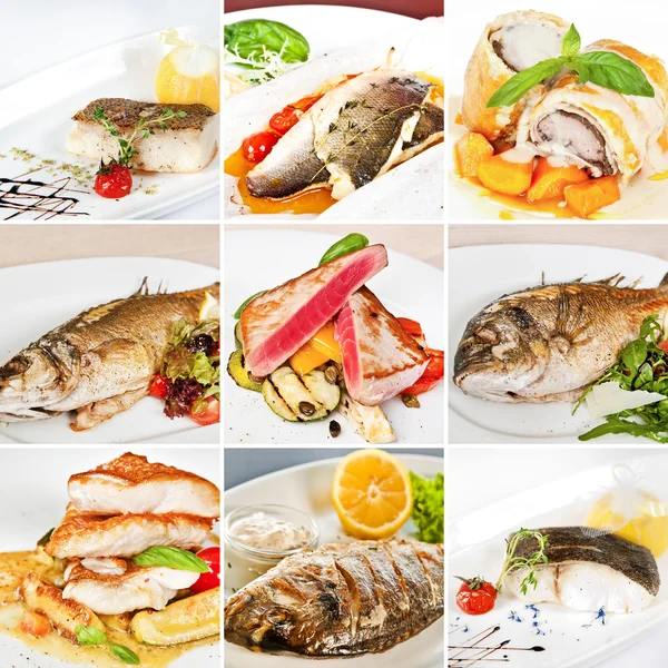 Platos de pescado collage — Foto de Stock