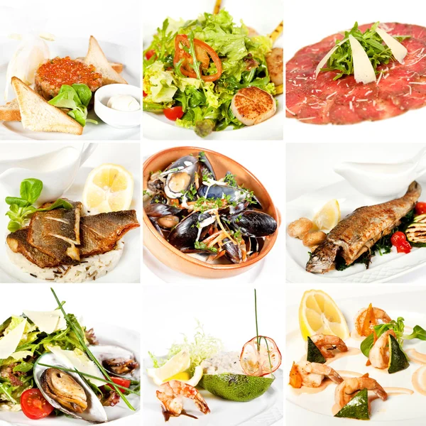 Seafood collage — Stock Photo, Image
