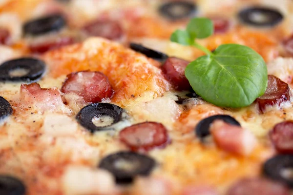 Homemade pizza with hunter sausages, bacon, olives and basil — Stock Photo, Image